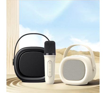 HAVIT PARLANTE / KARAOKE BT