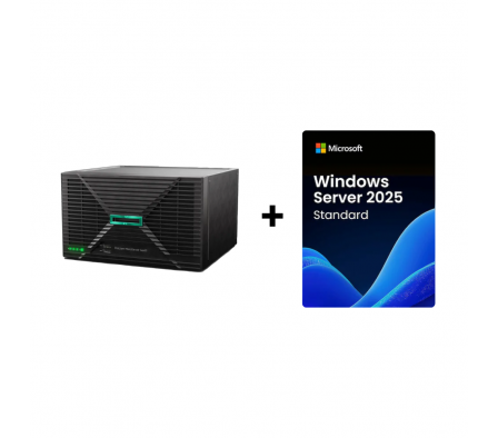 HPE PROLIANT MICROSERVER GEN11 + WINDOWS SERVER 2025 STD (Entrega 24 a 48Hs.)